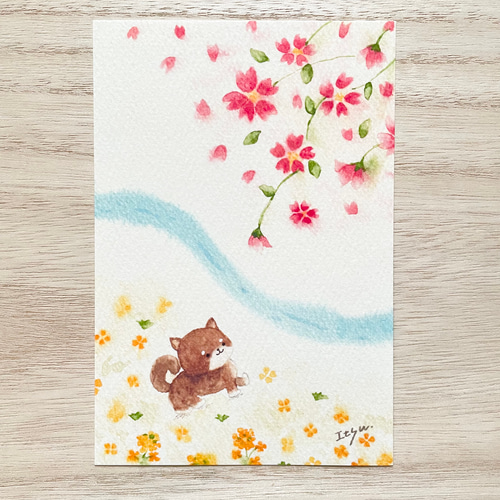 透明水彩画 桜ポストカード 6枚セット さくら 猫 犬 うさぎ 春