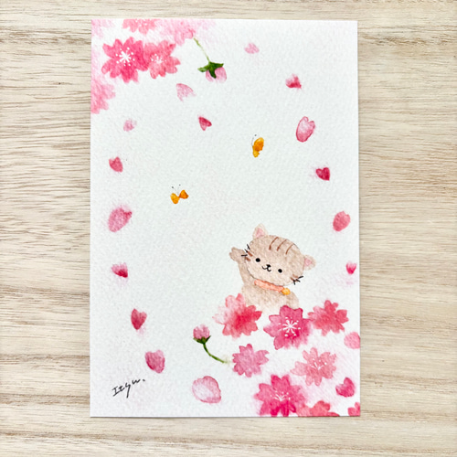 透明水彩画 桜ポストカード 6枚セット さくら 猫 犬 うさぎ 春