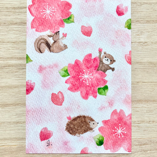 透明水彩画 桜ポストカード 6枚セット さくら 猫 犬 うさぎ 春
