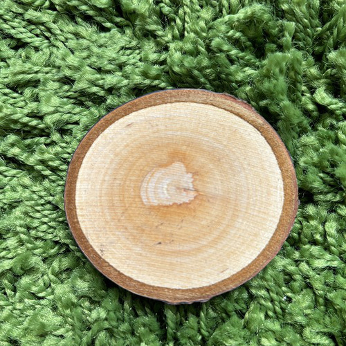 山桜　天然木　切り株　輪切り　高さ約19.5㎝ 山桜 天然木 切り株 輪切り 高さ約19.5㎝