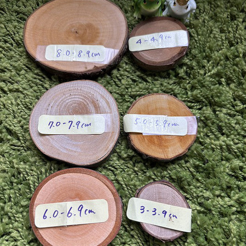 山桜　天然木　切り株　輪切り　高さ約19.5㎝ 山桜 天然木 切り株 輪切り 高さ約19.5㎝ 山桜 天然木 切り株