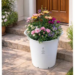 多肉植物プランター 男前 ハンドメイド インダストリアル 植物