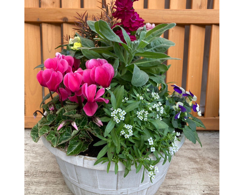 天然自然石・石鉢・寄せ植え鉢・一輪挿し 天然自然石・石鉢・寄せ植え鉢・一輪挿し 天然自然石・石鉢・寄せ植え