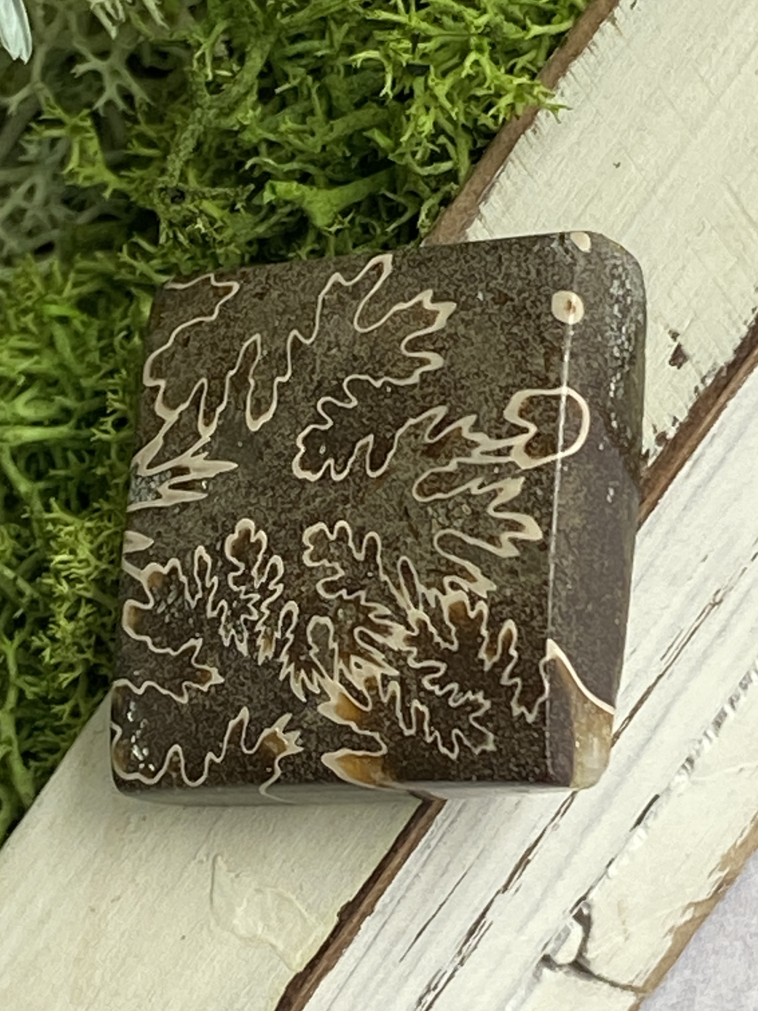 レア♢大きな菊石より♢白亜紀のアンモナイト/ クレオニセラス ハイグレード ルース 15 天然石 天然色