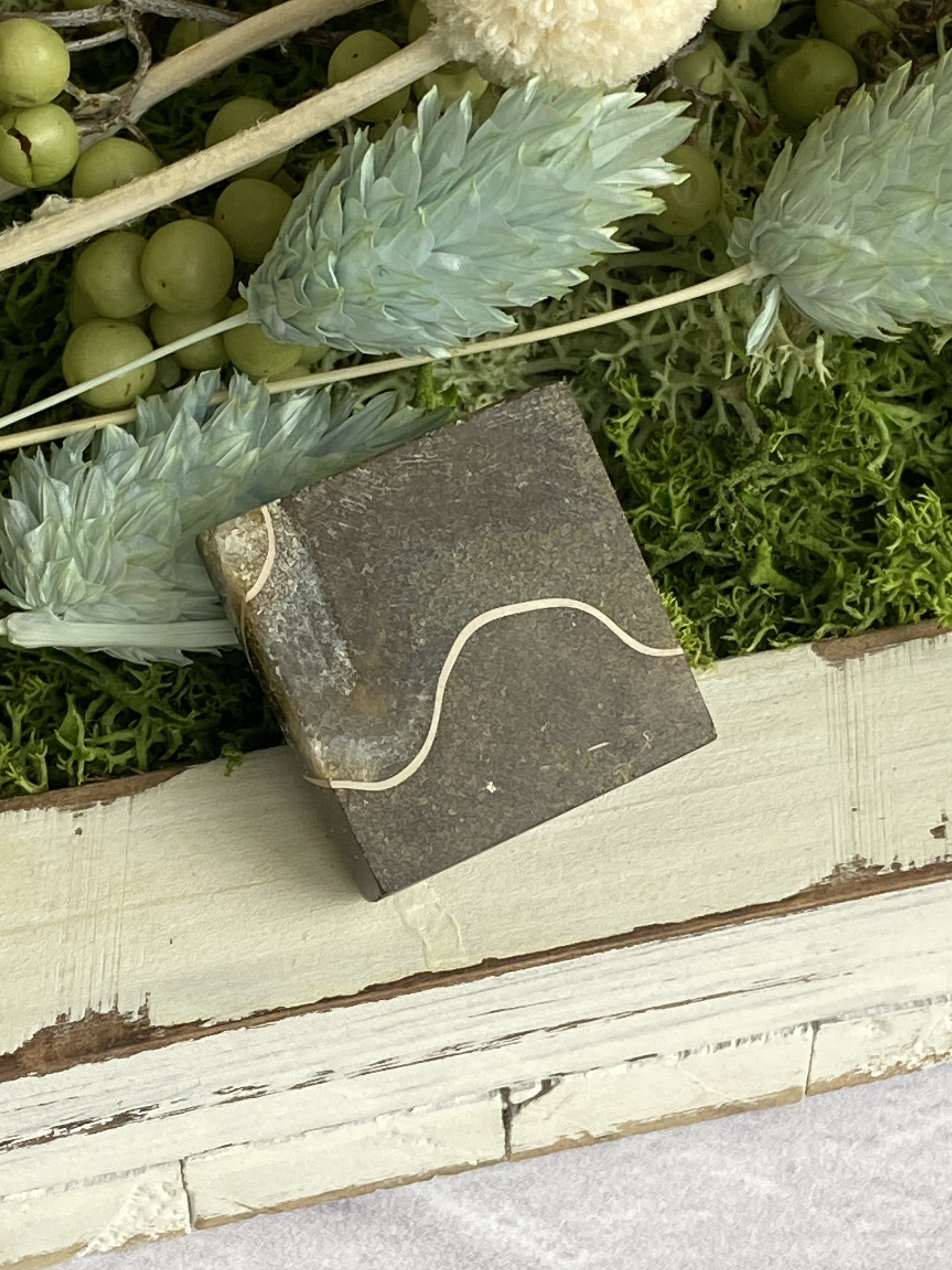 レア♢大きな菊石より♢白亜紀のアンモナイト/ クレオニセラス ハイグレード ルース 15 天然石 天然色