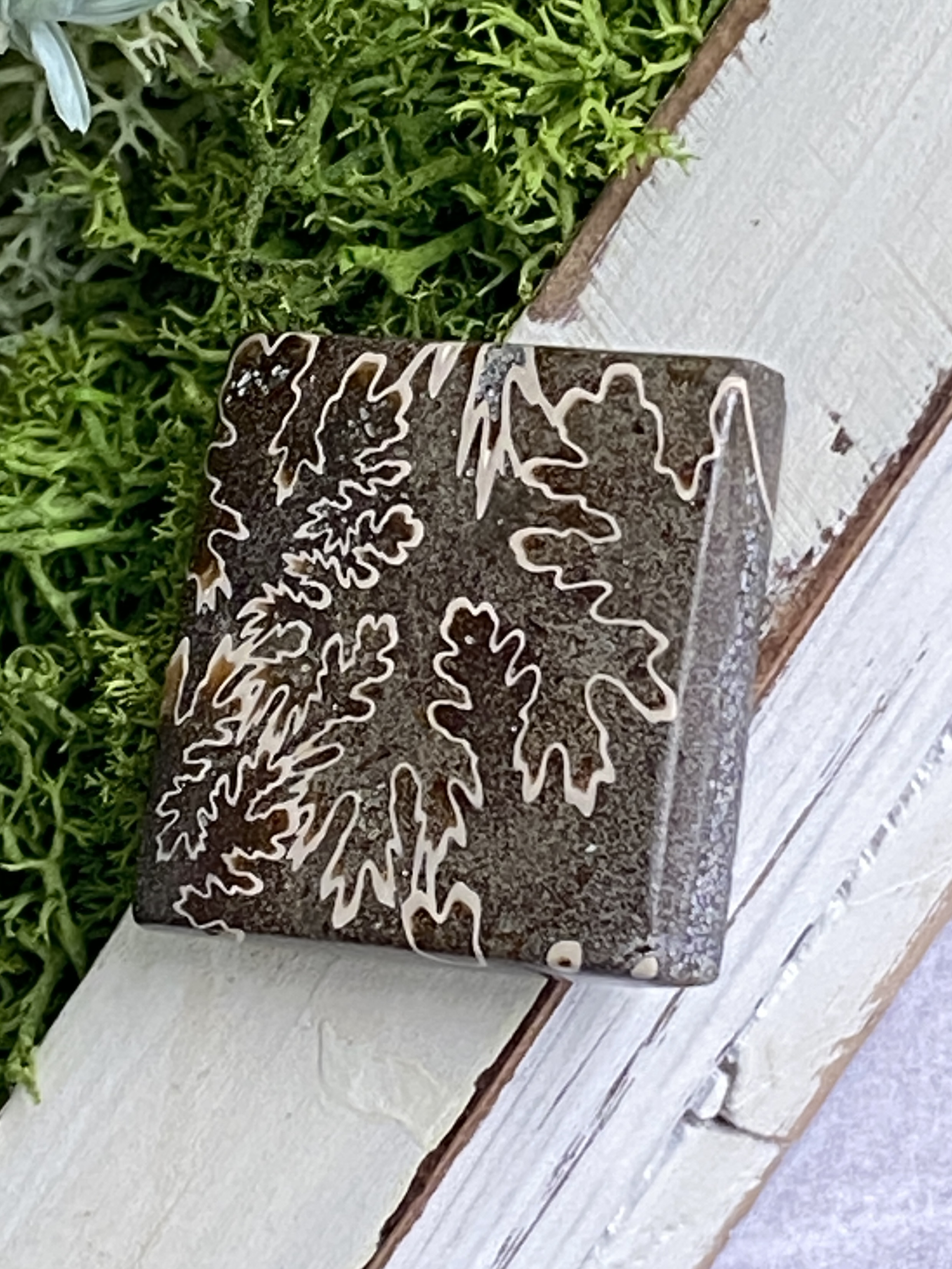 レア♢大きな菊石より♢白亜紀のアンモナイト/ クレオニセラス ハイグレード ルース 15 天然石 天然色