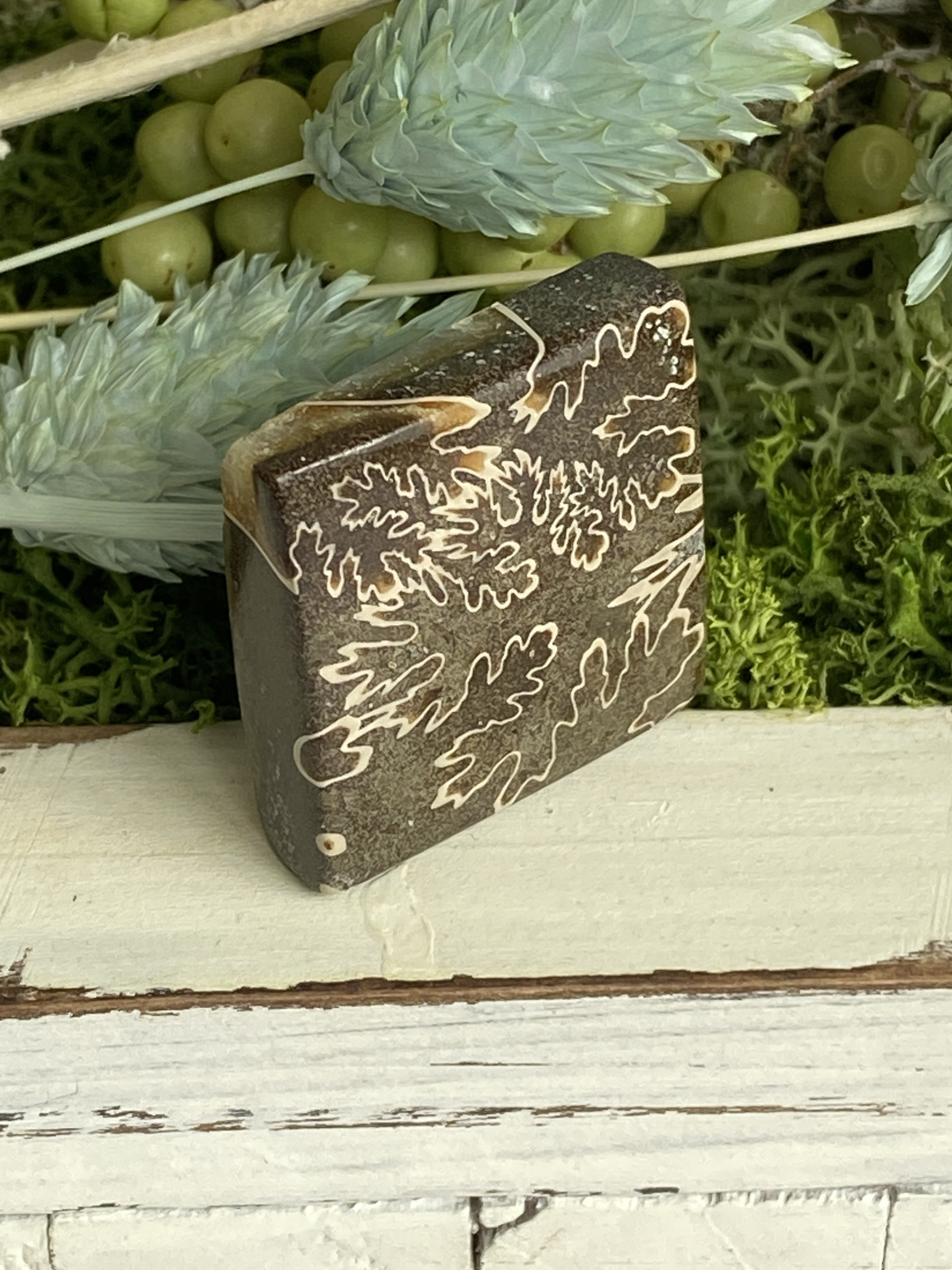 レア♢大きな菊石より♢白亜紀のアンモナイト/ クレオニセラス ハイグレード ルース 15 天然石 天然色