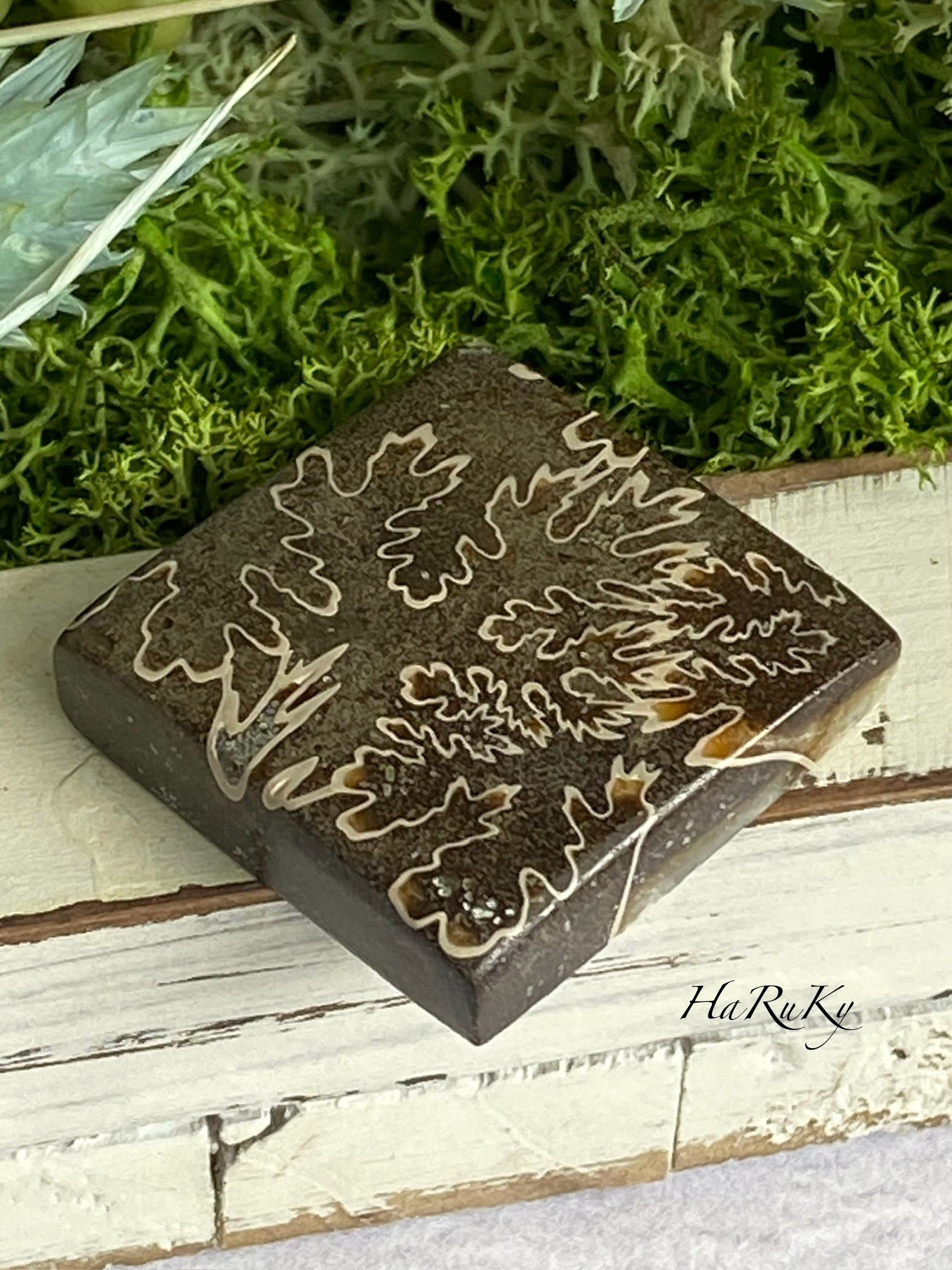 レア♢大きな菊石より♢白亜紀のアンモナイト/ クレオニセラス ハイグレード ルース 15 天然石 天然色