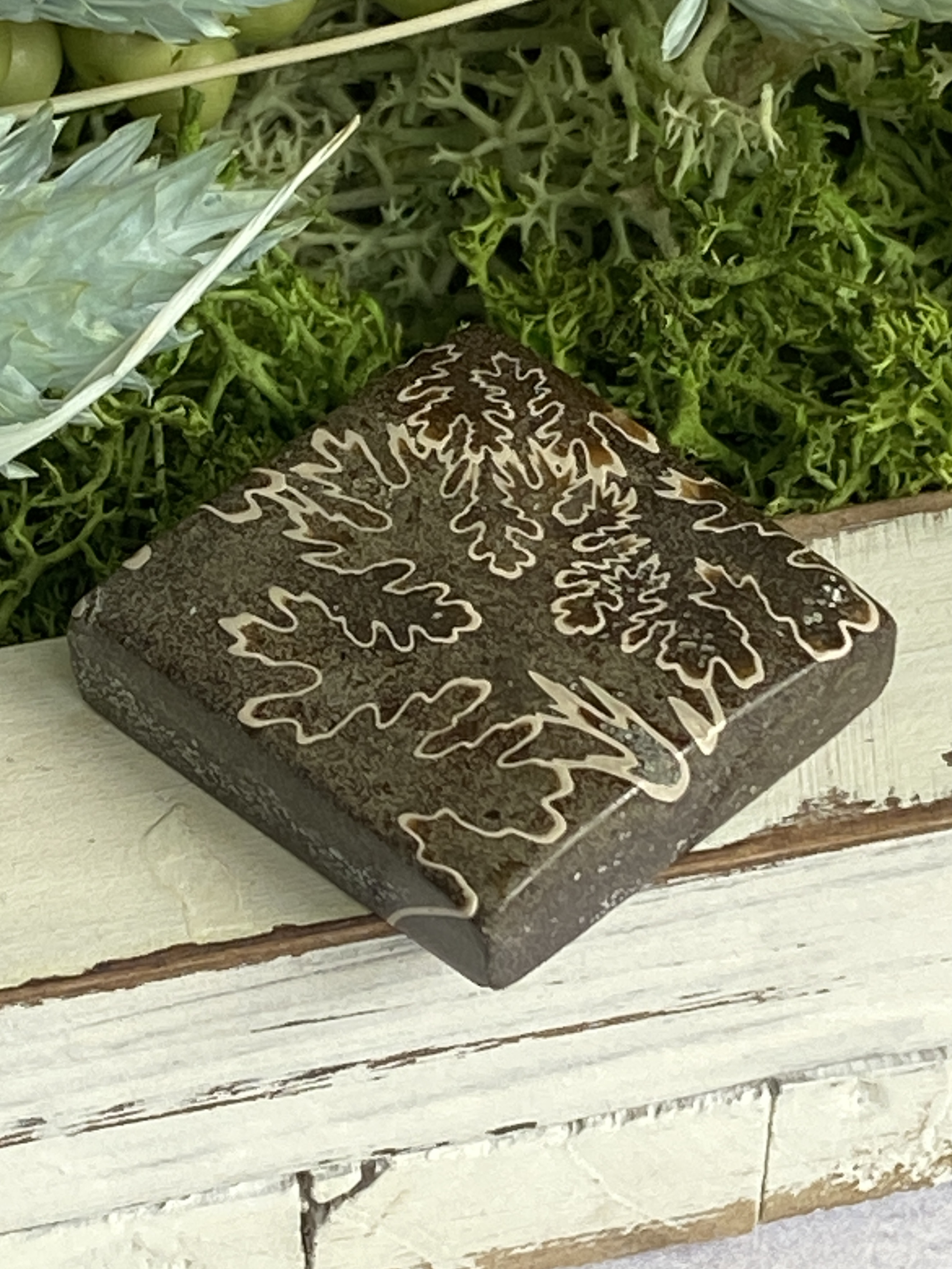 レア♢大きな菊石より♢白亜紀のアンモナイト/ クレオニセラス ハイグレード ルース 15 天然石 天然色