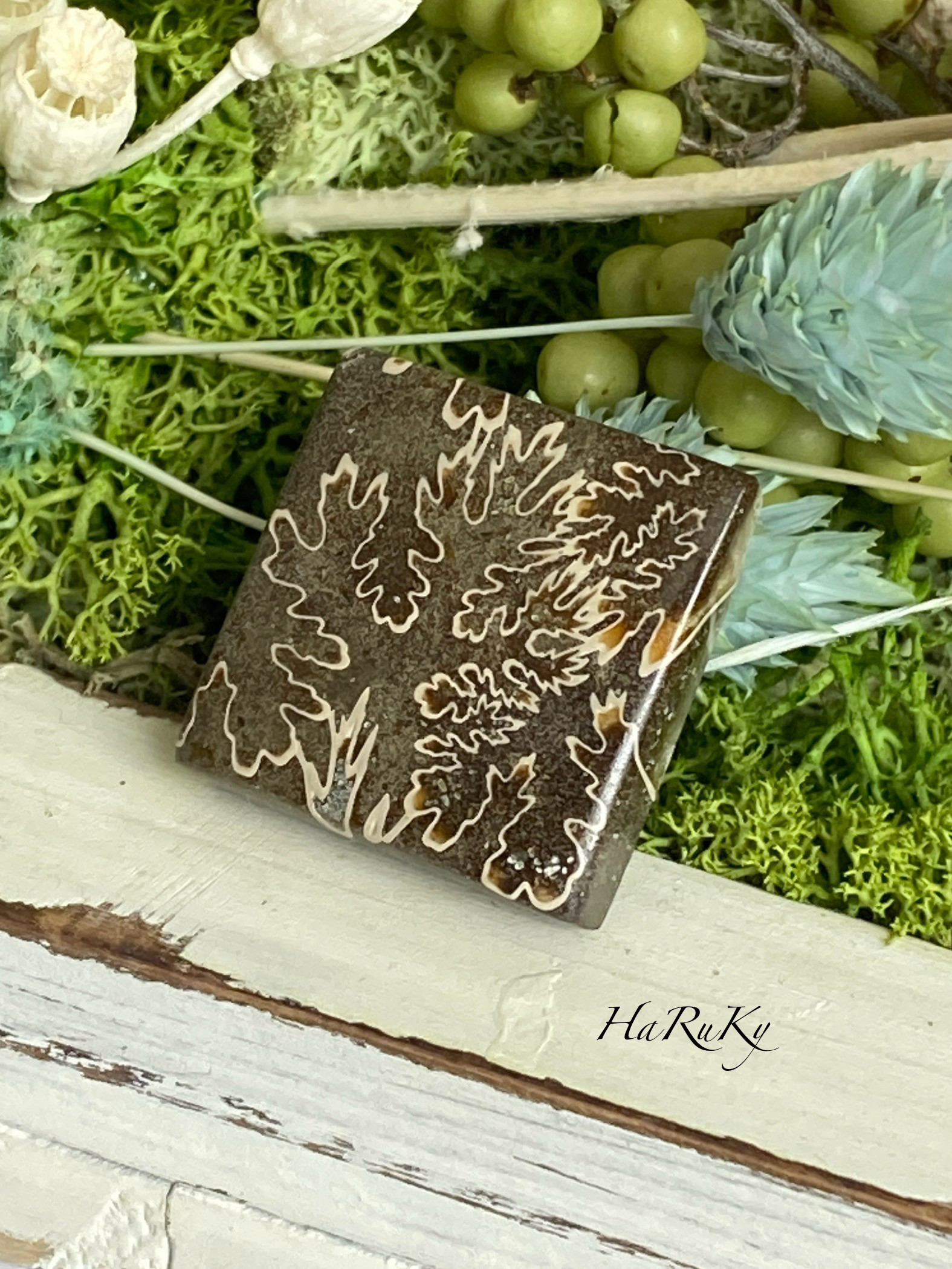 レア♢大きな菊石より♢白亜紀のアンモナイト/ クレオニセラス ハイグレード ルース 15 天然石 天然色