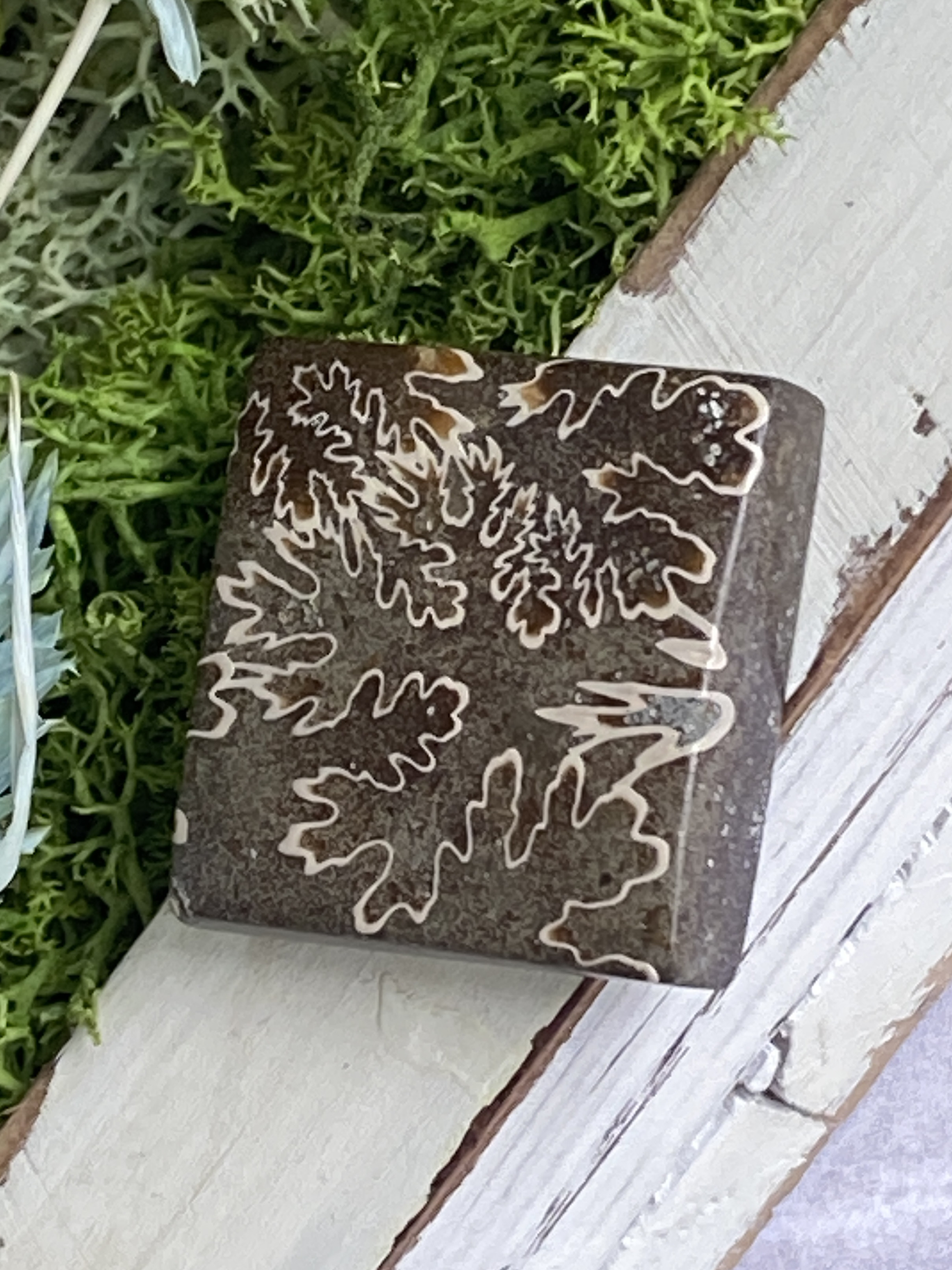 レア♢大きな菊石より♢白亜紀のアンモナイト/ クレオニセラス ハイグレード ルース 15 天然石 天然色