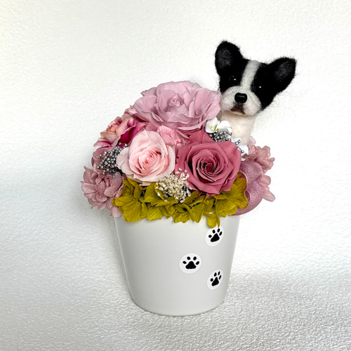 ちょこんと顔出す フレンチブルドッグ（右側）＆プリザーブドフラワー