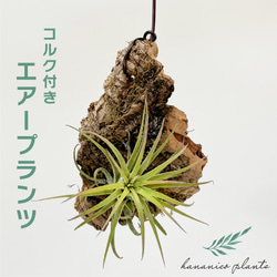 f455993d805ff705d485ad06a8c618