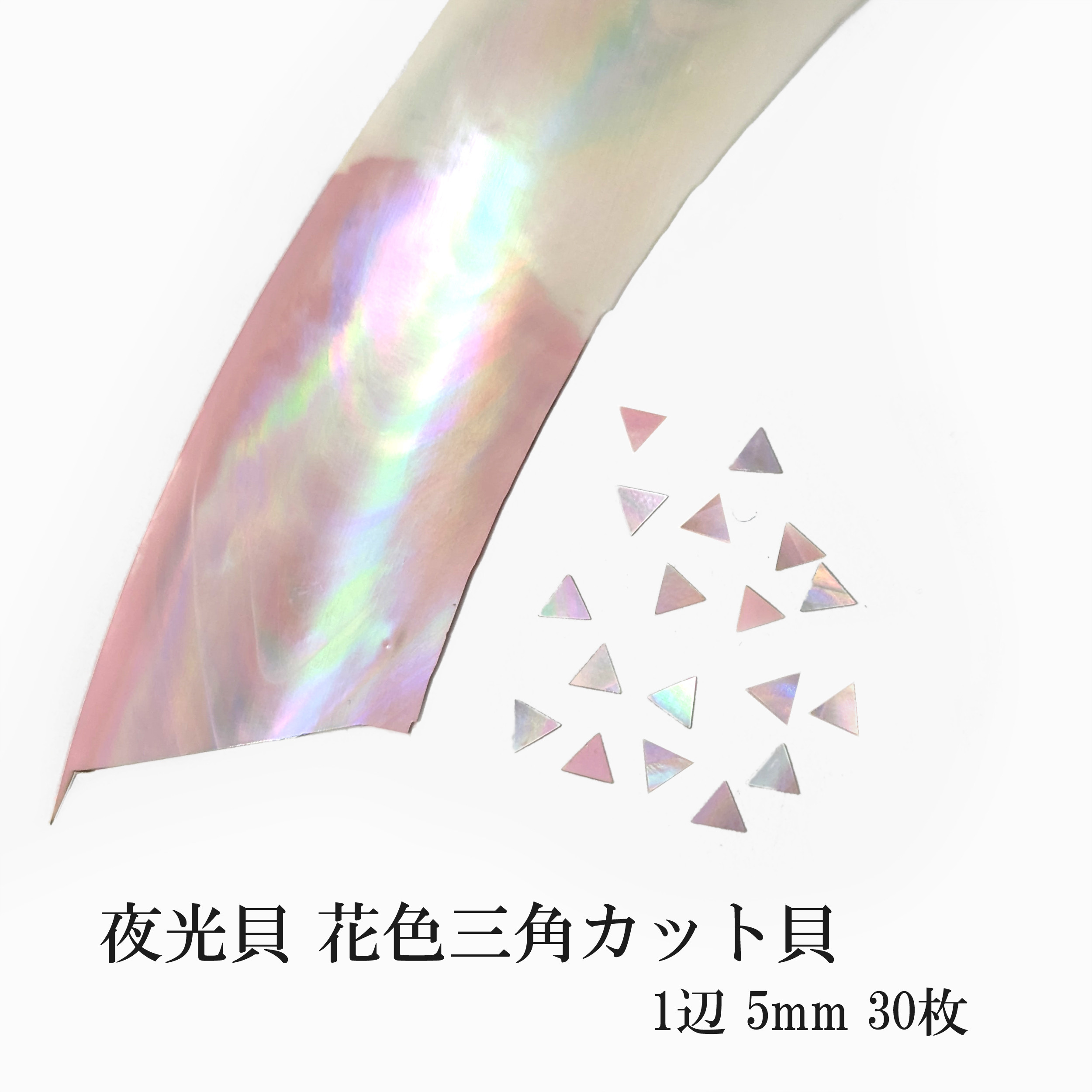 螺鈿細工 夜行貝 真珠層