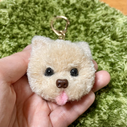 かっこうさぎ様☆確認page♡゜ジェラトーニ染色リメイクリクエストオーダー☆ かっこうさぎ様☆確認page♡゜ジェラトーニ染色リメイクリクエスト