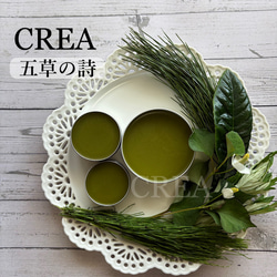 ≪ 薬用万能 無農薬 よもぎビワ クリーム 40ml ≫ その他雑貨