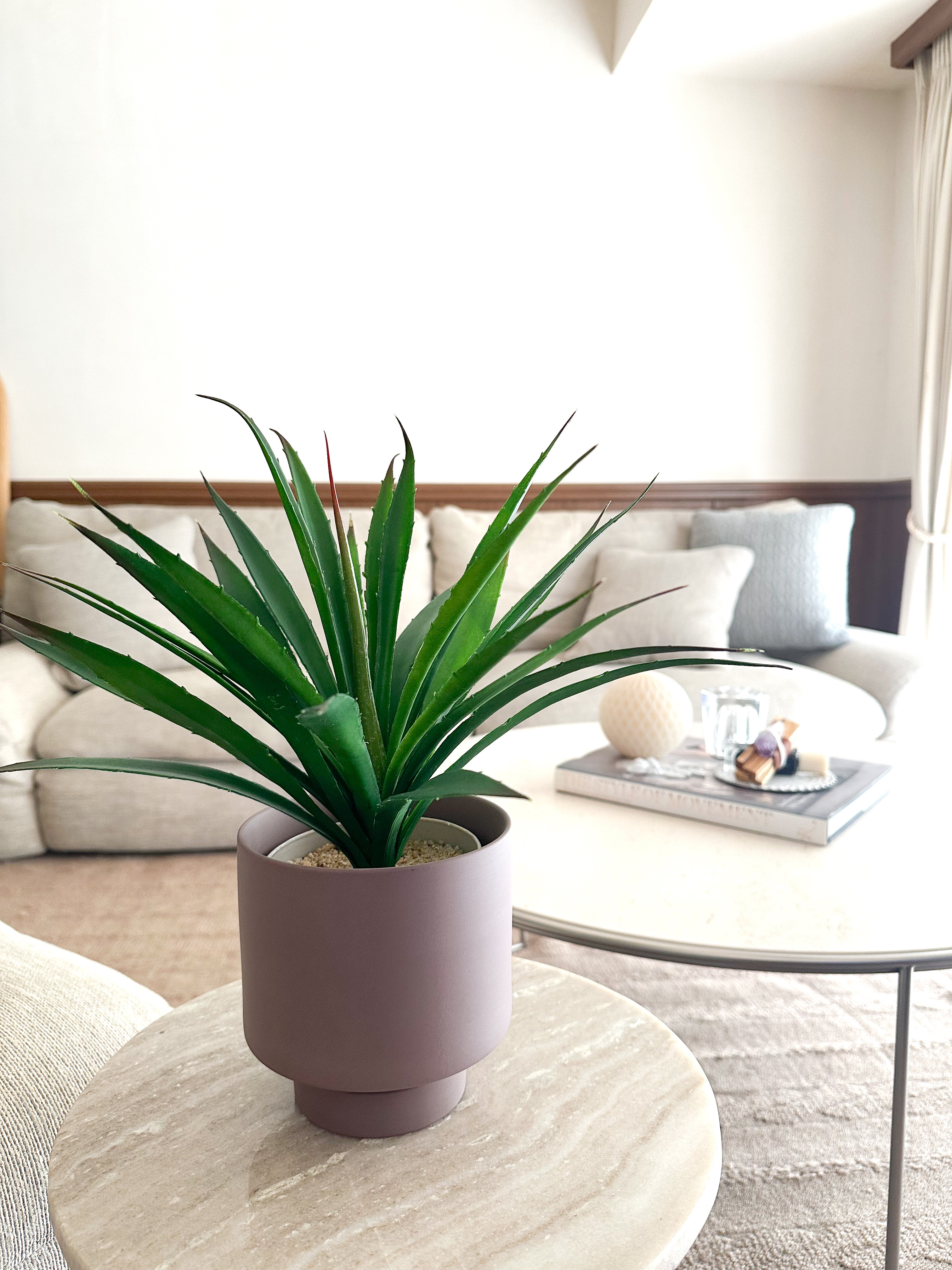 肉厚アガペとミルクココア色陶器（フェイクグリーン）