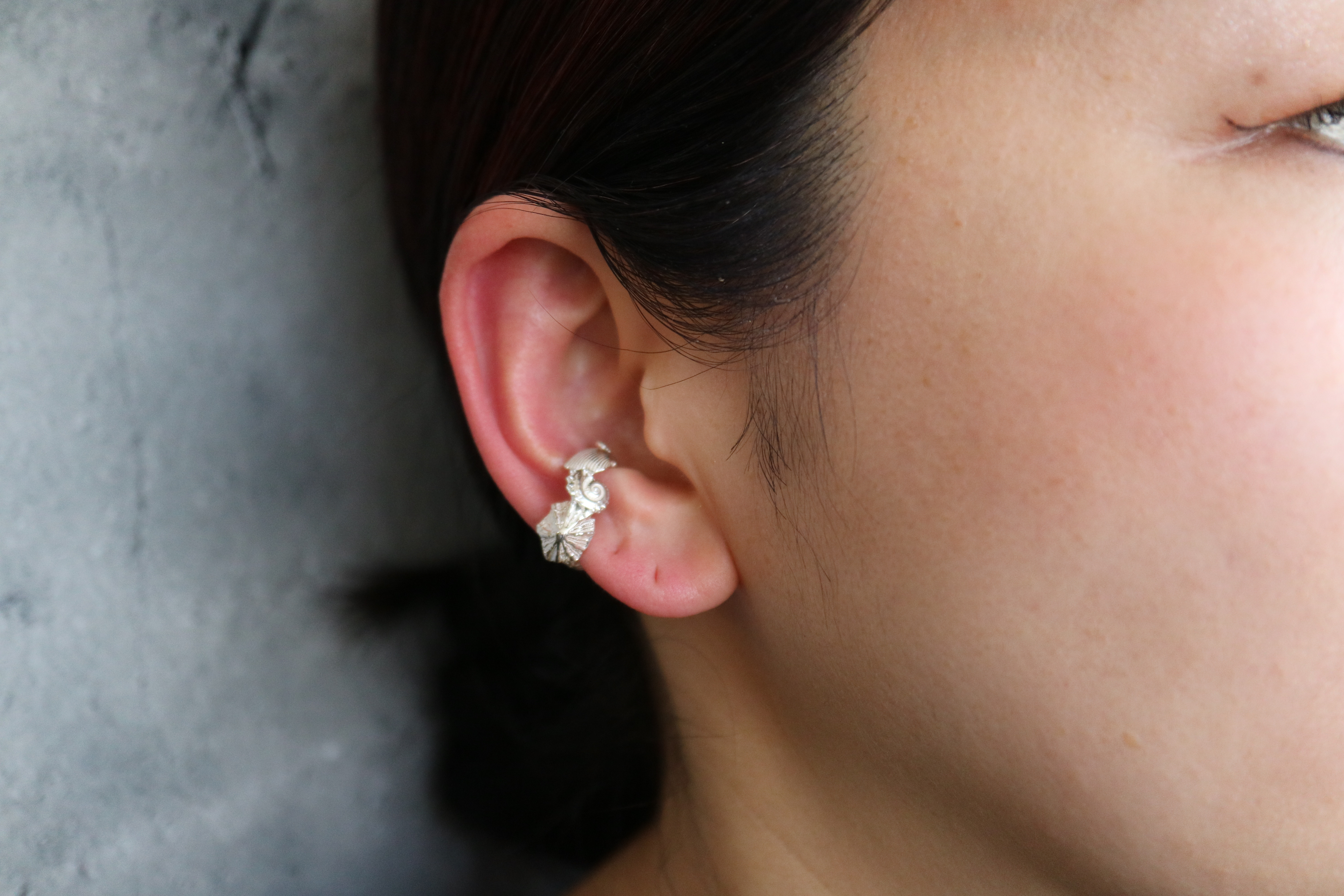 Shell ear cuff 　-silver color- (23EC-01  S/M )