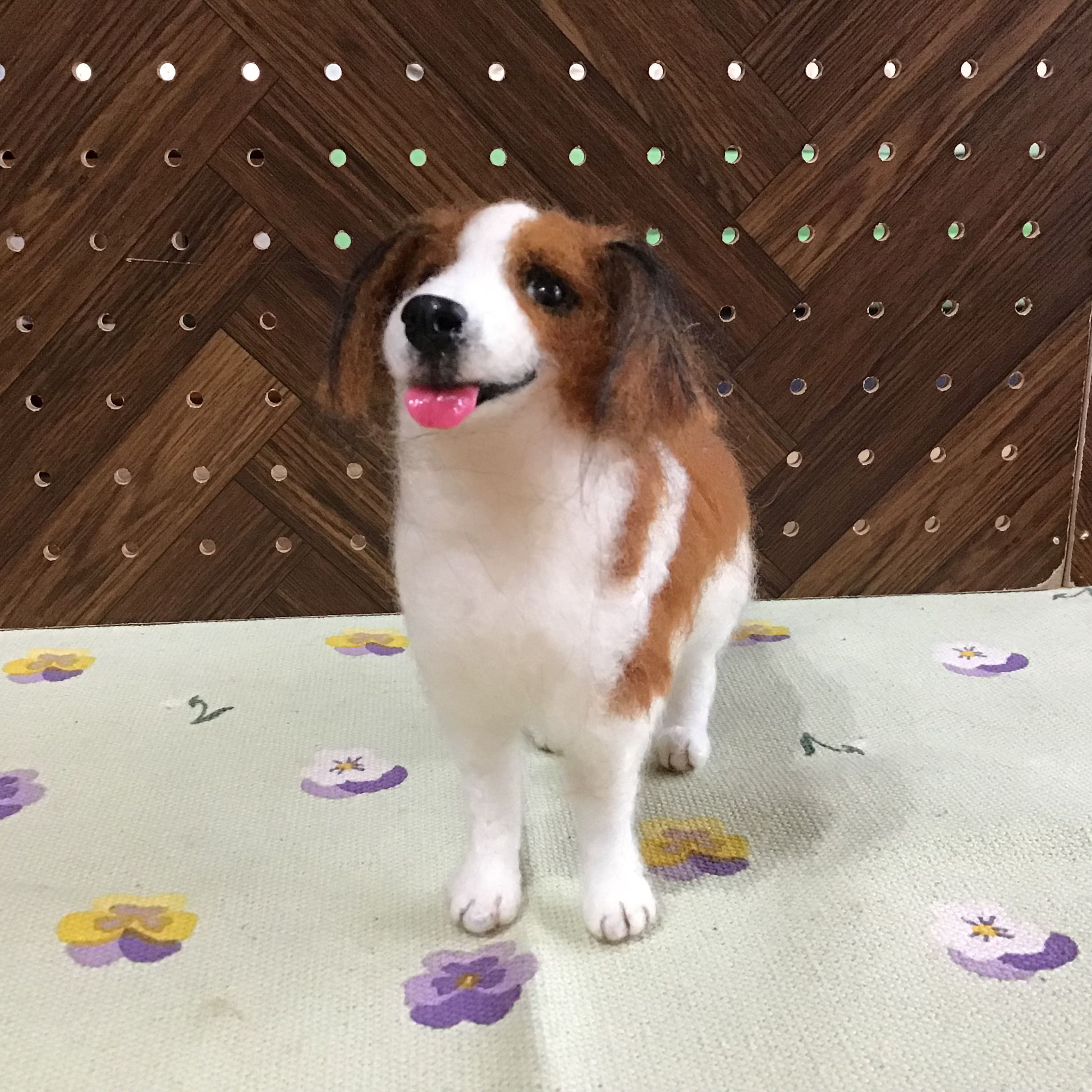 コーイケルホンディエ（立ちポーズ）