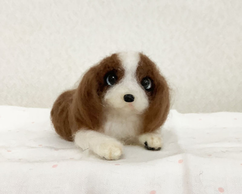 羊毛フェルト　キャバリア　犬 羊毛フェルト キャバリア＊犬＊ 羊毛フェルト moco3871 通販 19101621