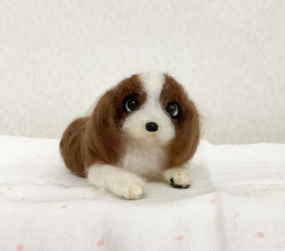 Yahoo!オークション - leo&miku 羊毛フェルト キャバリア 犬