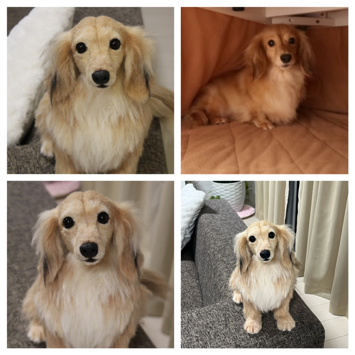愛犬さんのオーダー》実物大 羊毛フェルト リアル 犬 オーダー 羊毛