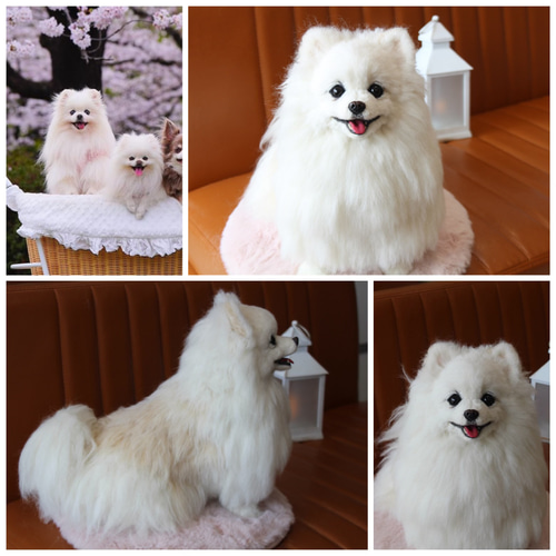 愛犬さんのオーダー》実物大 羊毛フェルト リアル 犬 オーダー 羊毛