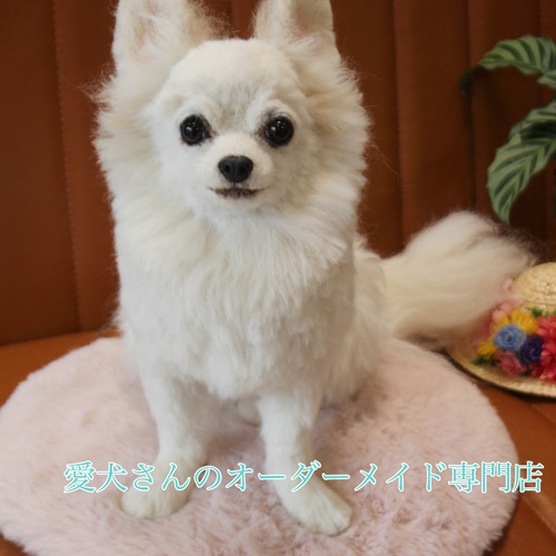 愛犬さんのオーダー》実物大 羊毛フェルト リアル 犬 オーダー 羊毛
