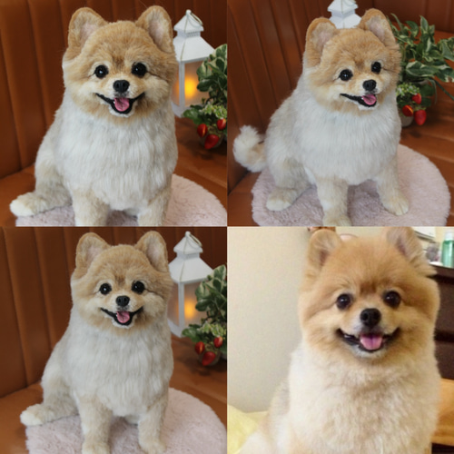 愛犬さんのオーダー》実物大 羊毛フェルト リアル 犬 オーダー 羊毛