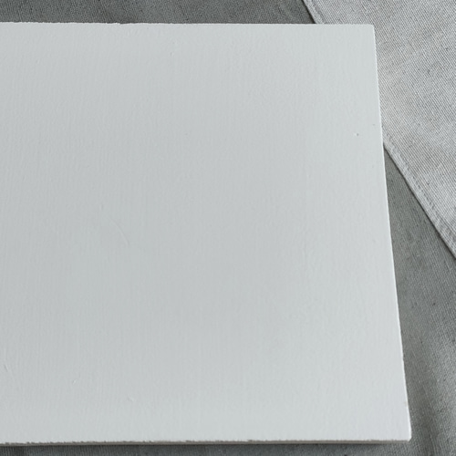 1点限定]40×22.5cm ホワイト モールテックス ディスプレイプレート