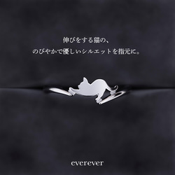 ぐ～っと伸びする -猫リング- 1枚目の画像