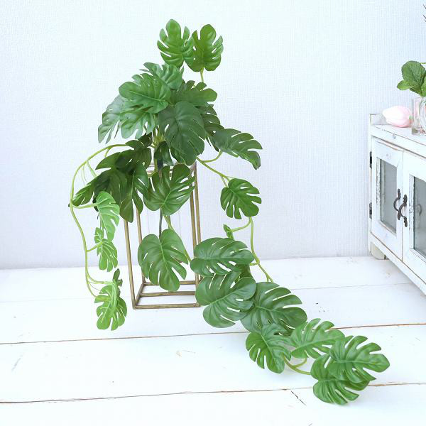 モンステラ　水替え不要　魔法の水　マジカルウォーター　インテリア　新築祝い　アンティーク風花器　282