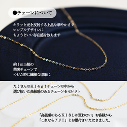 【 14kgf ネックレス 】 ピンクトルマリン ペッパーベリー 天然石 ・ 10月誕生石　秋の誕生石2025 7枚目の画像