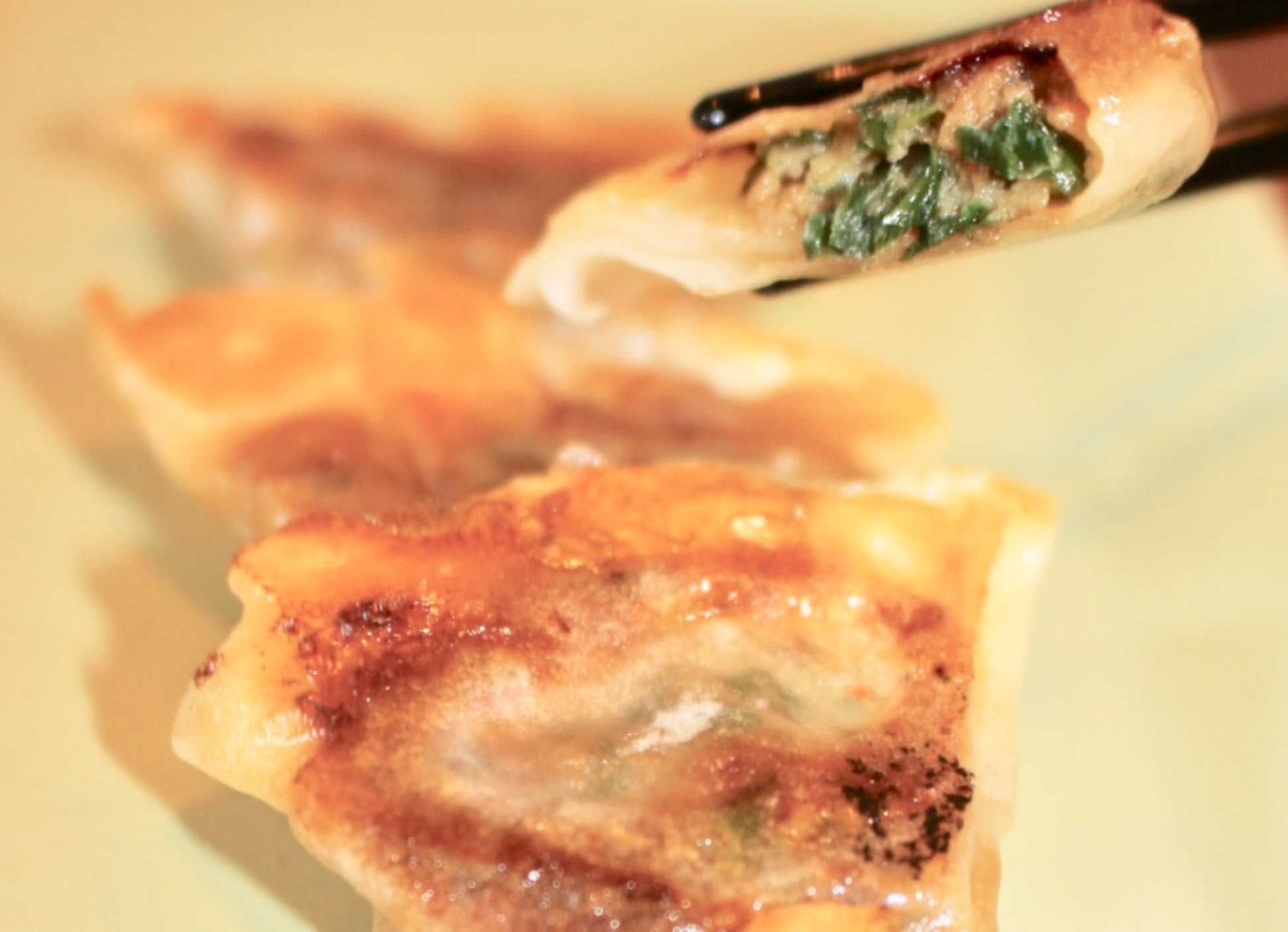 勝尾寺」「箕面の滝」で有名な大阪府箕面市でひとくち餃子製造25年秘伝の味♪ １パック（１０個入）×10パック（100個）