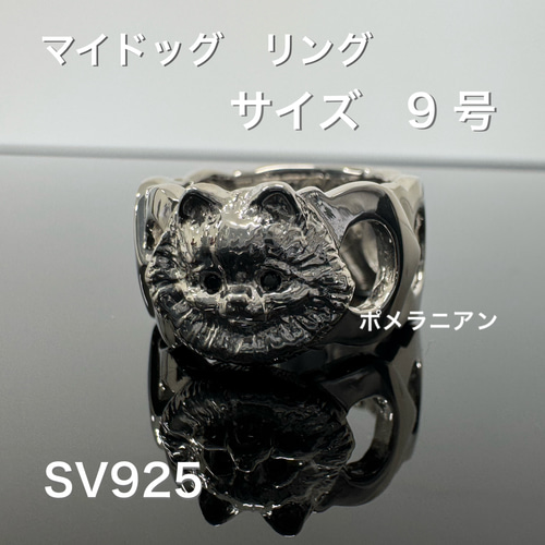 マイドッグリング ポメラニアン 飾りつける 20号 SV925*新品