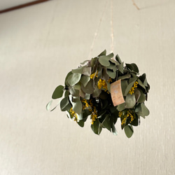 ユーカリ ボール L 16cm ＊ フラワーボール フライングボール ドライ