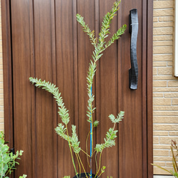 c32bdd5b72438925f5160a151b56b0