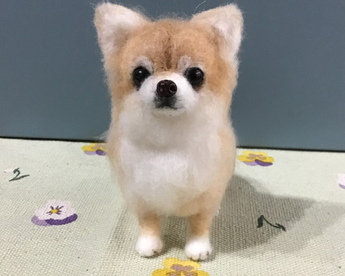 ⭐️ポメオーダー⭐️ 羊毛フェルト犬・おすわりチワワちゃん・ミニチュアダックス 3D犬 愛犬 オーダーメイド 羊毛フェルト ダックス チワワ 犬