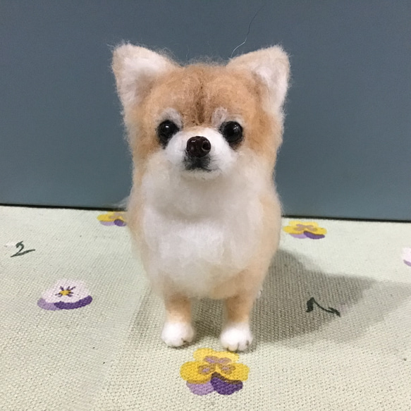 チワワ（お座りポーズ） 羊毛フェルト コーギー大好きママ 通販