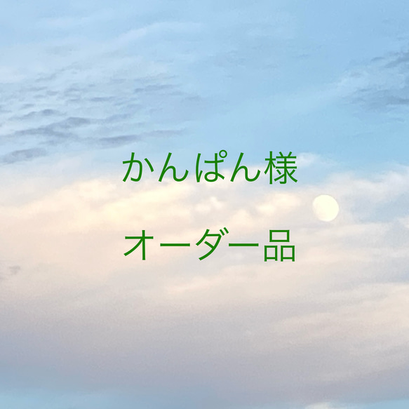 かんぱん様オーダー品 ペンダントトップ Cantik* 通販｜Creema 