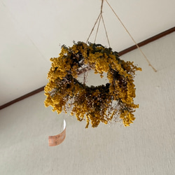 ユーカリ ボール L 16cm ＊ フラワーボール フライングボール ドライ