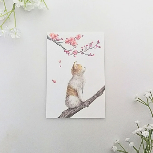 色鉛筆画 原画 1点物 ネコ イラスト ハガキサイズ イラスト marika