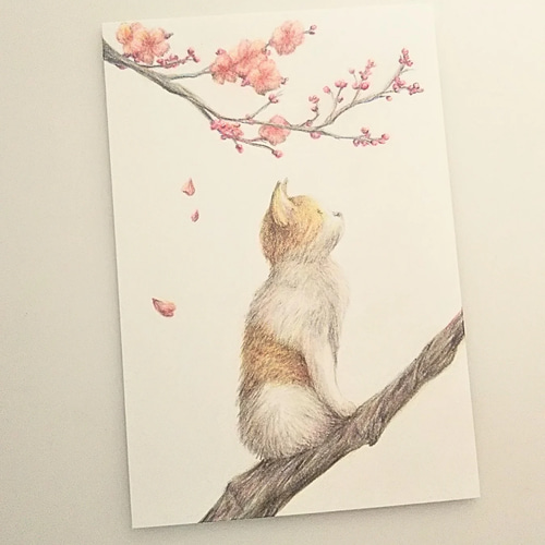 色鉛筆画 原画 1点物 ネコ イラスト ハガキサイズ イラスト marika