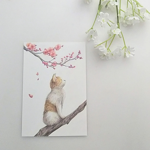「虹色の気球」キャンバス画 原画一点物 直径30㎝動物画 猫の絵 ドローイング 一点物】笑顔の猫と虹色ペンキ｜元気になれるイラスト - メルカリ