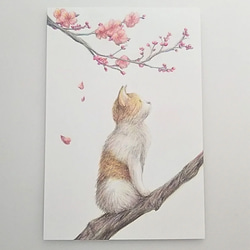 色鉛筆画 原画 1点物 ネコ イラスト ハガキサイズ イラスト marika