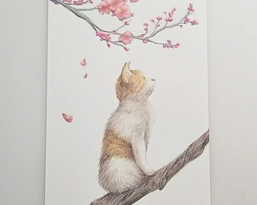 色鉛筆画 原画 1点物 ネコ イラスト ハガキサイズ イラスト marika