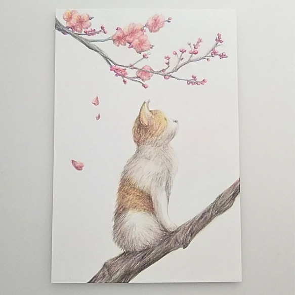 色鉛筆画 原画 1点物 ネコ イラスト ハガキサイズ イラスト marika