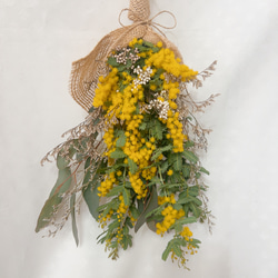 受注販売］ユーカリ・ナンキンハゼのナチュラルスワッグ ④ ドライ