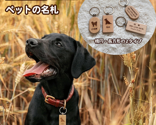 091af92dbb96cf4b4c928c446cd078