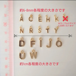 再販94◆誕生石とイニシャル イヤホンジャック♡ 2枚目の画像